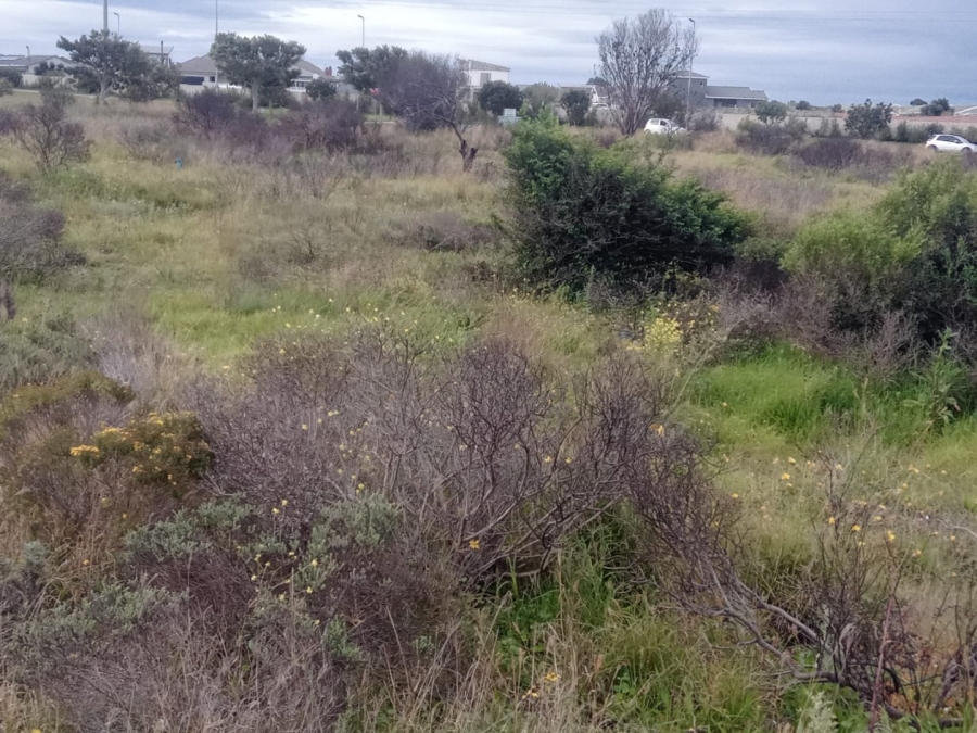  Bedroom Property for Sale in Fountains Estate Eastern Cape